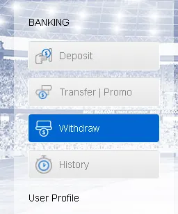 withdraw mega888